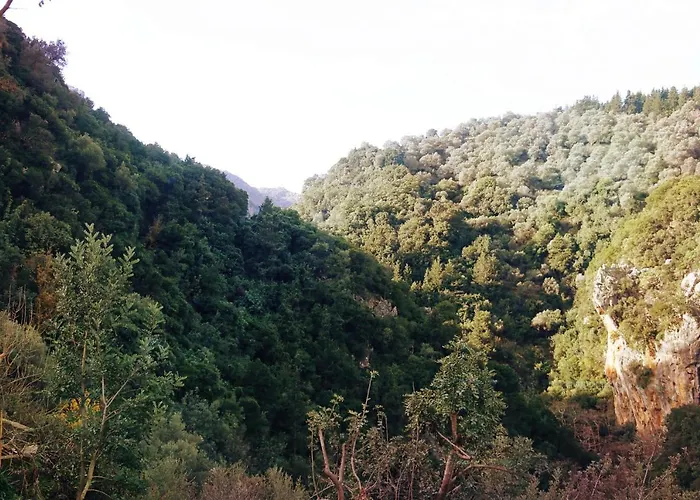 Kleanthi's House 干尼亞